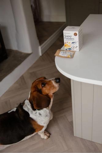 Loonawell Super Foodies – traditionell gebackene Bio-Snacks
