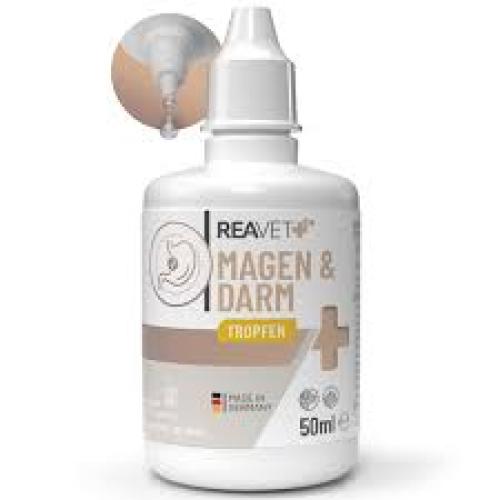 REAVET Magen & Darm Tropfen für Hunde 50 ml