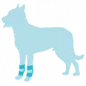 BENECURA Butterfly M 50/50 Sport-Bandage mit Fleece für Hunde