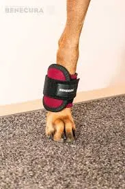 Gewichtsbandage, Set E, Grösse L, Benecura