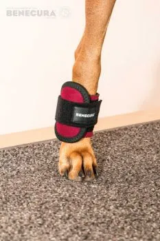 BENECURA® Gewichts-Bandage