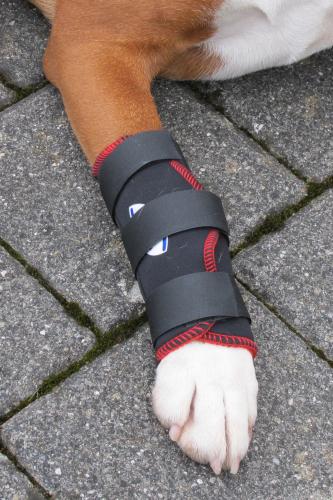 Reha-Bandage TSM7520 für das Vorderbein – L