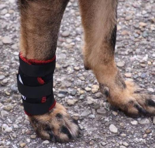 Hund Bandage TSM7501 für das Vorderbein – XS