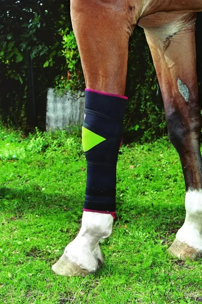 Polsterbandage Karpalgelenk Vorderfußwurzelgelenk Pferd – XS, rechts