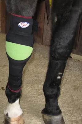 Polsterbandage Karpalgelenk Vorderfußwurzelgelenk Pferd – M, rechts