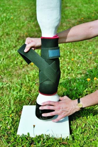 Fesselkopf-Bandage Pferd