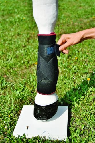 Fesselkopf-Bandage Pferd