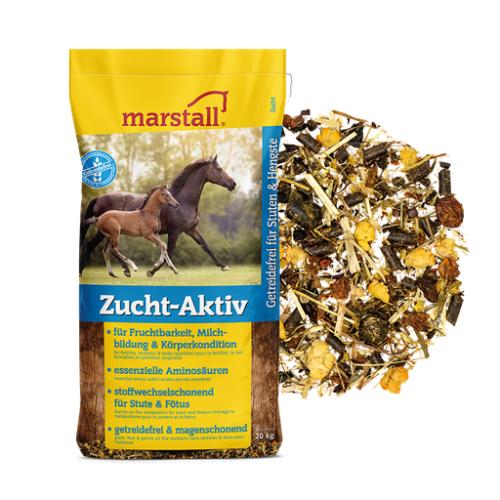Zucht-Aktiv 20 kg