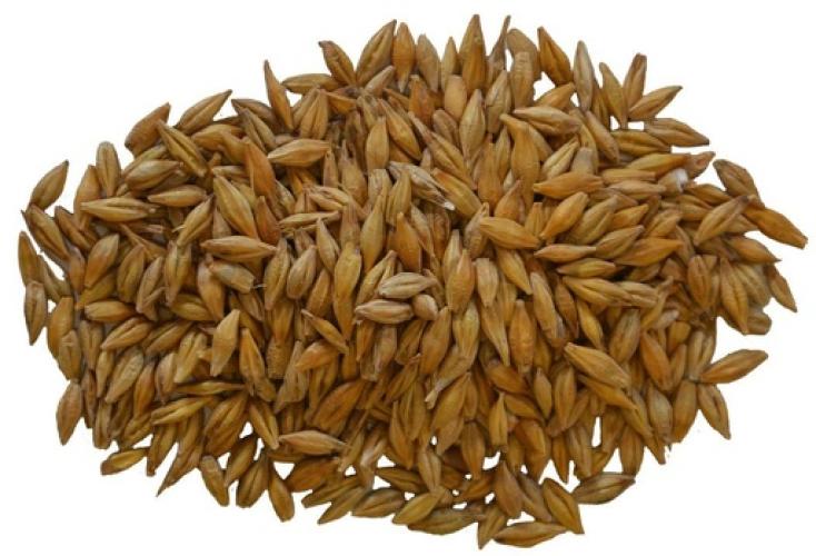Gerste ganz 30 kg