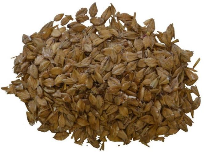 Gerste gewalzt 25 kg