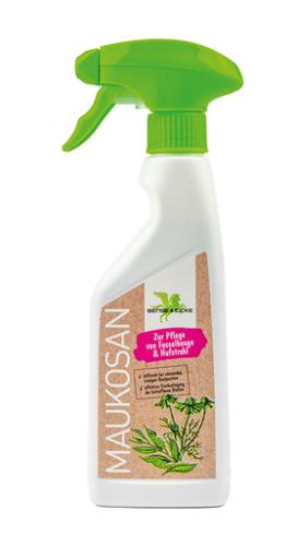 B&E Maukosan Spray 250 ml