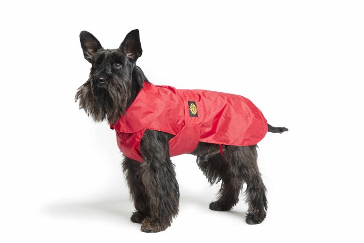 Doppelter-nylon-Regenmantel Fashion Dog rot Gr. 43