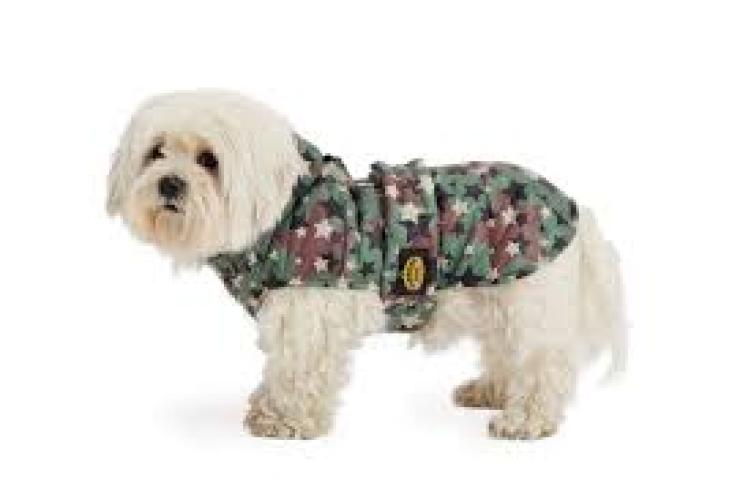 Doppelter nylon Regenmantel Fashion Dog getarnt Gr. 30