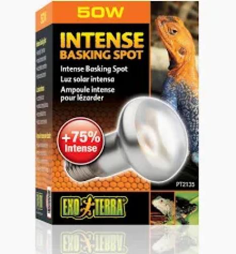 Komodo Basking Spot Bulb 50W