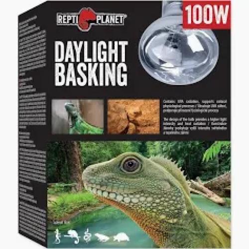 Komodo Basking Spot Bulb 100W