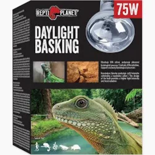 Komodo Basking Spot Bulb75W