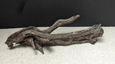 Mangrovenwurzel bis ca. 20 cm für Aquarium und Terrarium