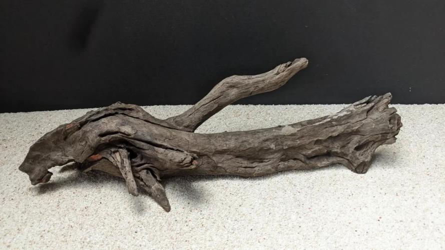 Mangrovenwurzel bis ca. 20 cm für Aquarium und Terrarium