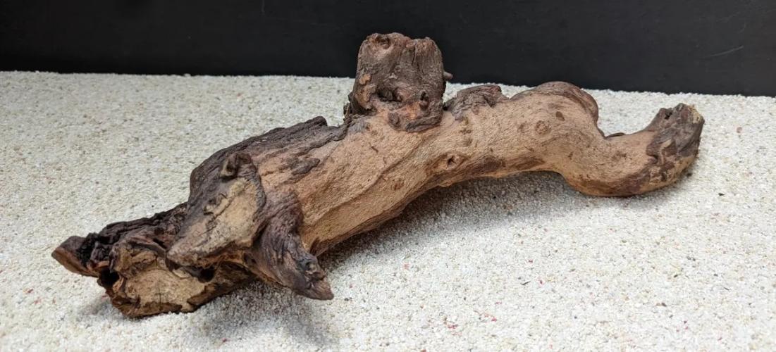 Mopaniholz S ca. 0,3–0,8 kg für Aquarium und Terrarium