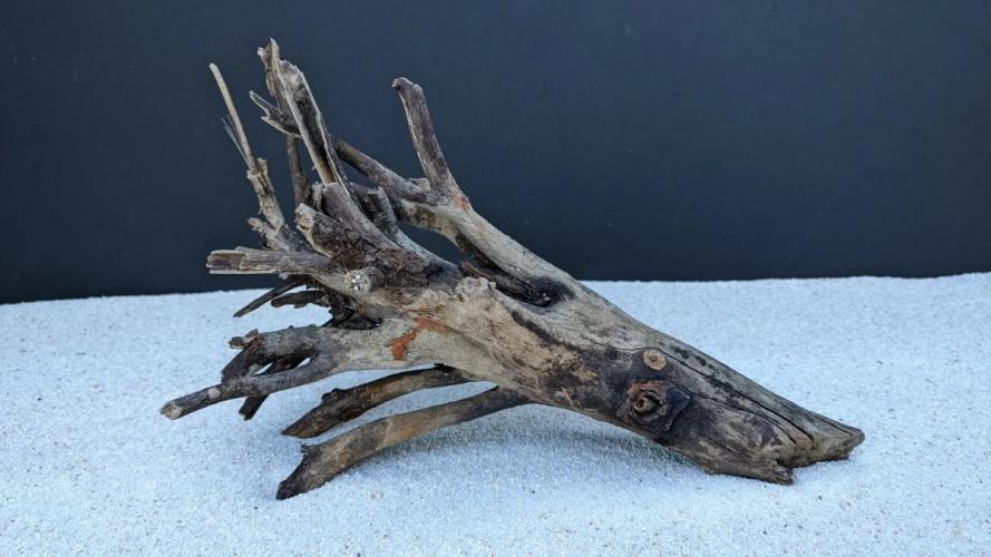 Bunch Wood M Naturholz für Aquarium und Terrarium