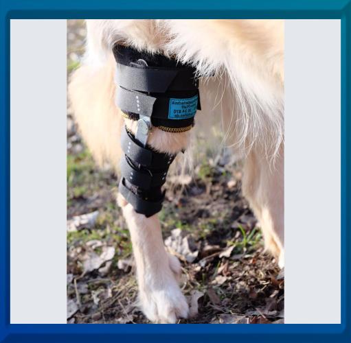 PFAFF Knieschiene Kniebandage - 20-30cm S - Knieorthese (ABVERKAUF solange Vorrat) 