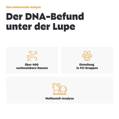 Pezz DNA-Test zur Rassebestimmung für Hunde mit Wolfsanteil