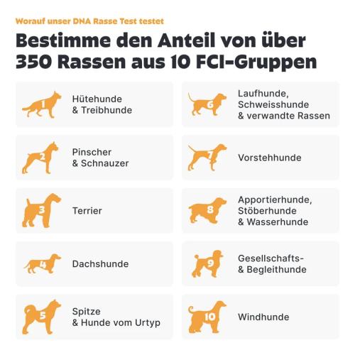 Pezz DNA-Test zur Rassebestimmung für Hunde mit Wolfsanteil