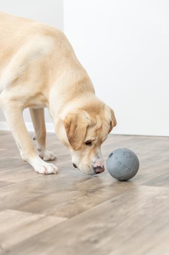 Snack Ball, Natural Rubber, Dark Gray, 11 cm diameter
