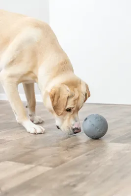Snack Ball, Natural Rubber, Dark Gray, 6 cm in diameter