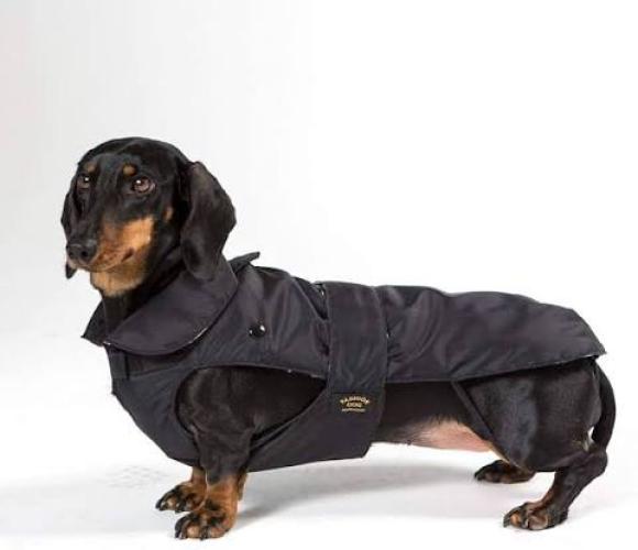 Fashion Dog wasserdichter Dackel-Hundemantel Schwarz 33 cm