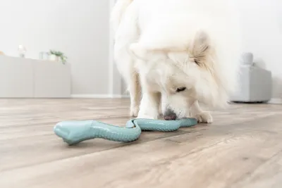 Snack-Snake, TPR, salbei 42cm