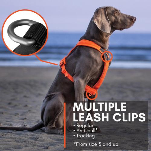 Line harness 5.0, unisex, orange, 5, single