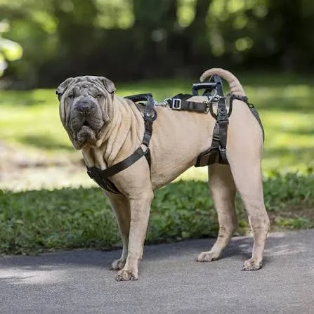 Solvit Carelift - Tragegeschirr und Gehhilfe für Hunde - rot, S