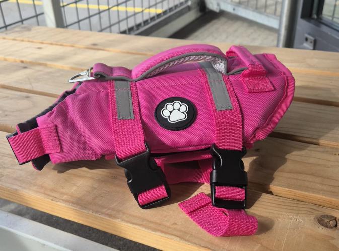 Metglad Schwimmweste für Hunde Pink mit Rettungsgriff, XS