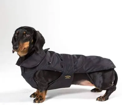 43