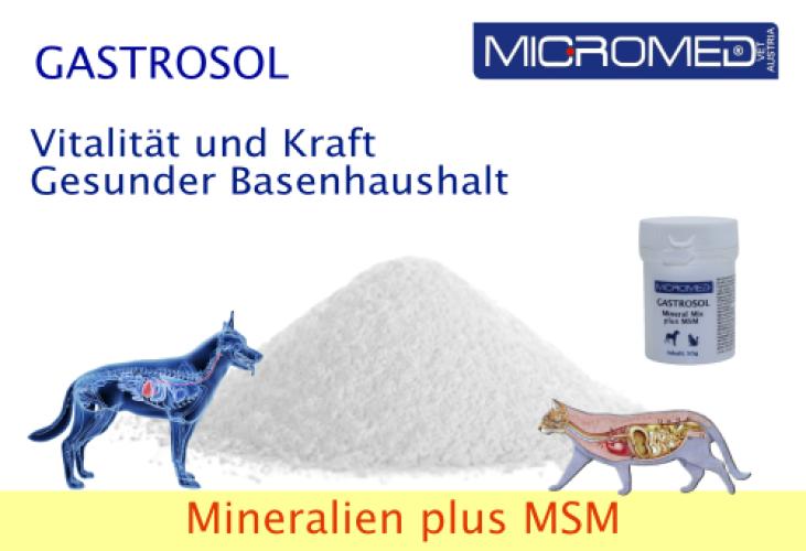 Nahrungsergänzung für Hund und Katze, Gastrol 50gr - Micromed