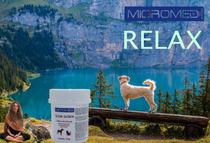 Nahrungsergänzung für Hund und Katze, Slow Down 50gr - Micromed
