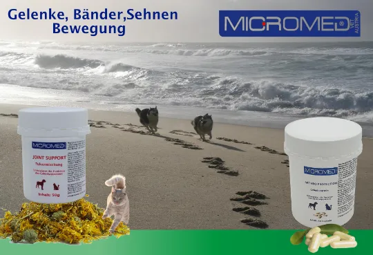 Nahrungsergänzung für Hund und Katze, Joint Support 50gr - Micromed
