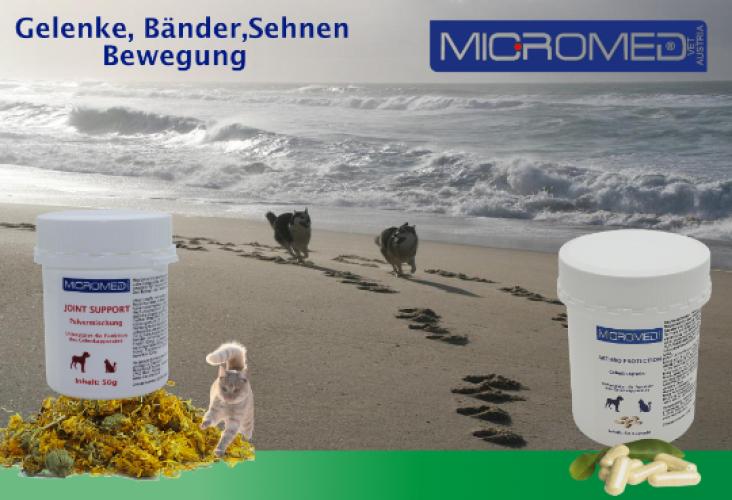 Nahrungsergänzung für Hund und Katze, Joint Support 50gr - Micromed