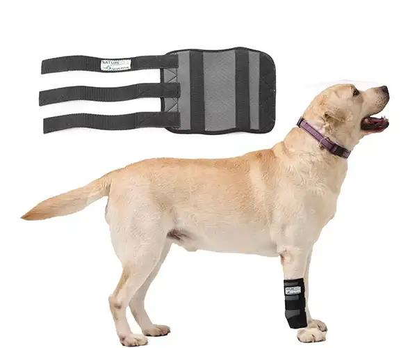 Sport Bandage / Karpal Bandage für Hunde - Nature Pet -  SPORT S