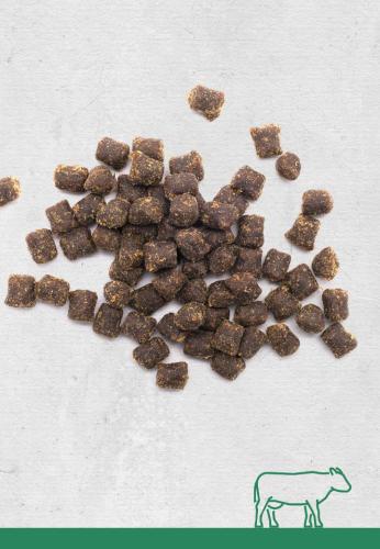 Rinderleber-Kekse für Hunde – 100 g