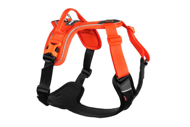 Hundegeschirr Ramble Harness Schwarz/Orange schwarz/orange orange – Non-stop dogwear