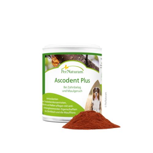 Ergänzungsfutter Hund Ascodent Plus 50 g – Zahnpflege für Hunde – PerNaturam