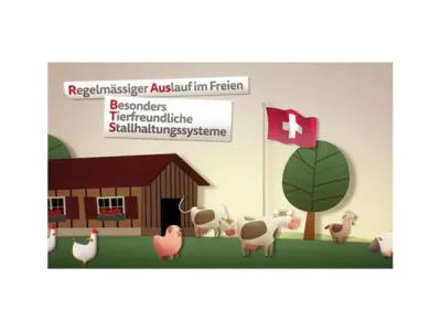 BARF Entenhälse einzeln gefroren 10 Stück – buon viando