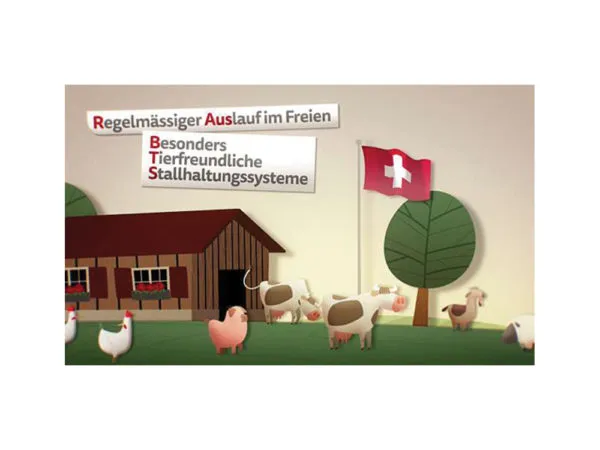 BARF Entenhälse einzeln gefroren 10 Stück – buon viando