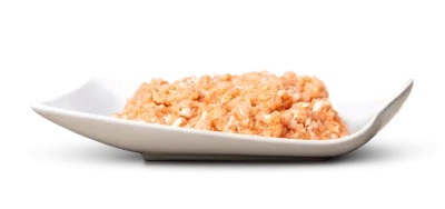 BARF-Fisch Lachsfilet geschnetzelt BARF 2 × 200 g für Hunde & Katzen – BigPet