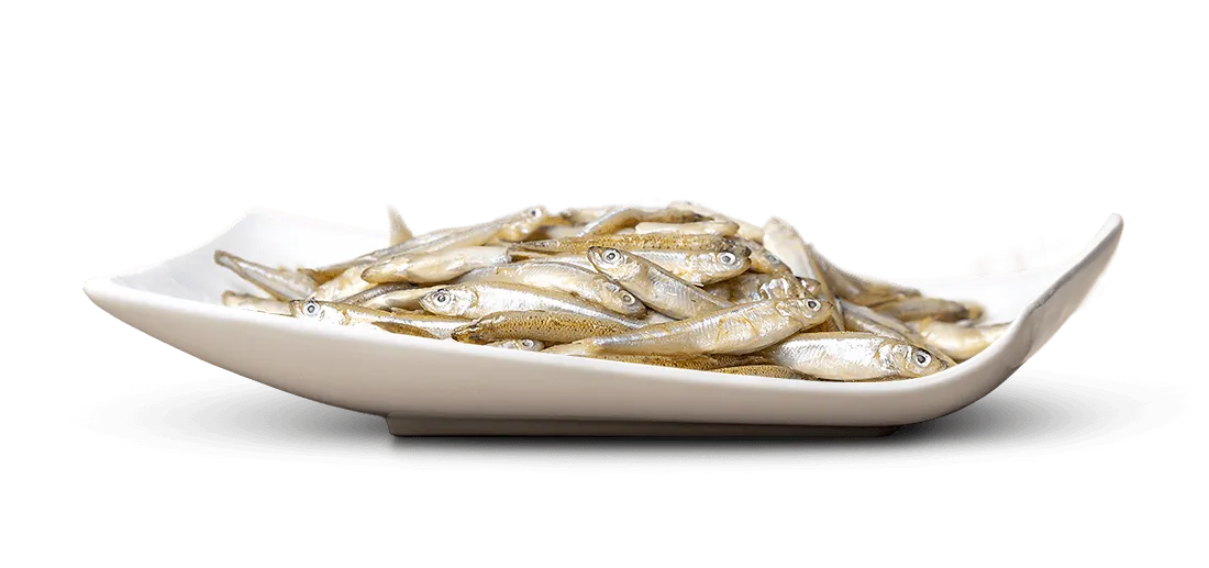 BARF-Fisch Fischli ganz Stint, lose gefroren 450 g – BigPet