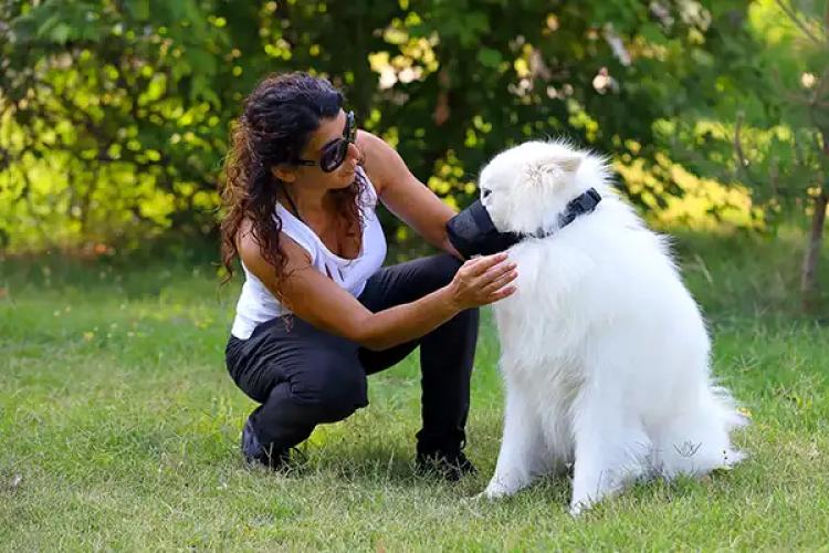 Hundemaulkorb Giftköderschutz Netz/Leckschutz L kurz – Nature Pet