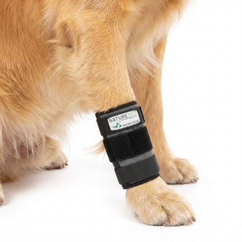 Hundebandage Karpalgelenk Premium M – Nature Pet