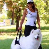 Hundetragehilfe hinten XL – Nature Pet